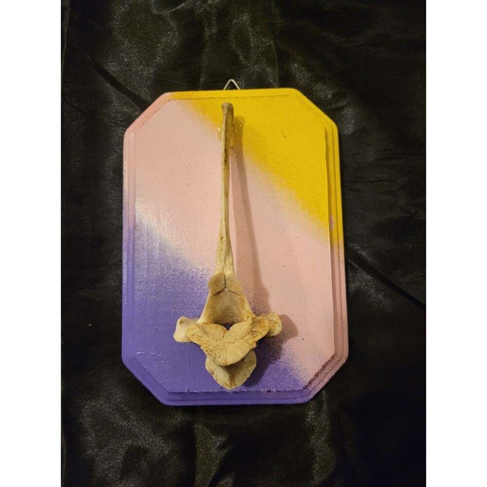 Bones multi Decor home accessories bone plaque